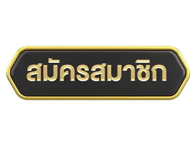 แบนเนอร์ 13